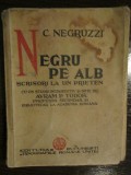 Negru pe alb. Scrisori la un prieten