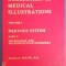 myh 33f - Album CIBA collection - Nervous system - NETTER - lb engleza - 1986