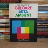 PAUL CONSTANTIN - CULOARE, ARTA, AMBIENT , 1979 *