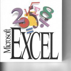 Microsoft EXCEL - User's Guide 1