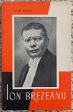 Ion Brezeanu - Mihai Vasiliu
