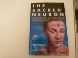Extraordinary new discoveries linking science and religion