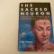 Extraordinary new discoveries linking science and religion