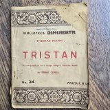 Tristan - Thomas Mann