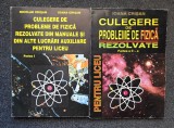 CULEGERE DE PROBLEME DE FIZICA PENTRU LICEU REZOLVATE - Ioana Crisan (2 volume)