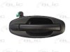 Maner Usa Spate Dreapta Hyundai Santa Fe I (SM) 2000-2006 BLIC Vopsibil 6010-20-021404P