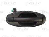 Maner usa HYUNDAI SANTA FE I (SM) (2000 - 2006) BLIC 6010-20-021404P