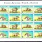 DB WWF Fauna Djibouti Facocer MS MNH
