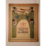 Petre Ispirescu - Făt-Frumos cel rătăcit (repovestire &icirc;n imagini Sorin Obreja; 1968) (uzată, vezi descriere!)