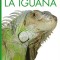La Iguana