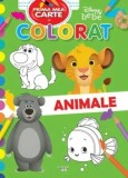 Cumpara ieftin Animale. Prima mea carte de colorat/***
