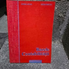 Bazele contabilitatii - Oprea Calin, Mihai Ristea