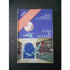 Viorica Mircea - Luna in oglinda apei. Proza universala contemporana
