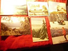 7 Ilustrate - In Muntii Carpati - anii &#039;58 ,59 ,73 +3 ilustr. dupa 1990