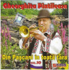CD audio Gheorghita Pintileasa &lrm;&ndash; Din Pașcani &Icirc;n Toată Țara Vol.10, original, Populara