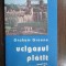 Ucigasul platit