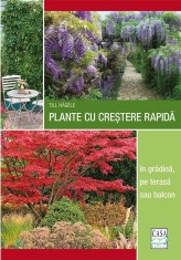 Plante cu crestere rapida - in gradina, pe terasa sau balcon - Casa
