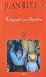 Cumpara ieftin Campia in flacari - 2006 - Juan Rulfo (AS332)