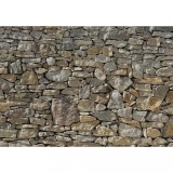 Komar Fototapet mural Stone Wall, 368 x 254 cm, 8-727 GartenMobel Dekor, vidaXL