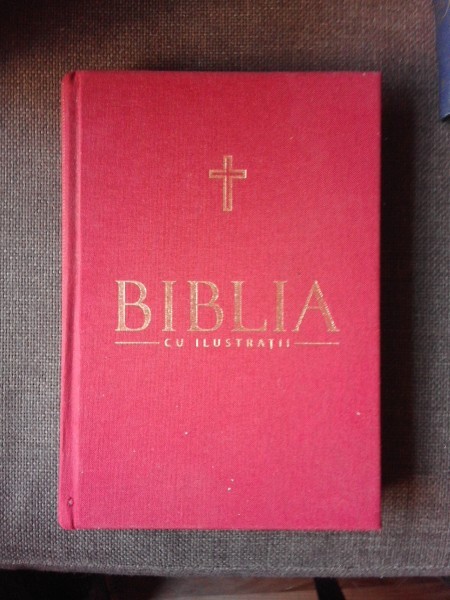 BIBLIA CU ILUSTRATII, VOL. I