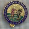 AX 354 INSIGNA BOWLING- PLYMOUTH SIR FRANCIS DRAKE BOWLING CLUB -MAREA BRITANIE