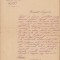 HST 245S Numire inginer al orașului Vaslui 1887 semnat olograf primar N Lupașcu