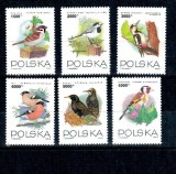 Polonia 1993 - Păsări, serie neuzata