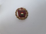 Ungaria -Inigna - Szocialista Brigad.
