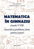 Matematica in gimnaziu &ndash; clasele V-VIII. Exercitii si probleme alese pentru juniori - Nomina