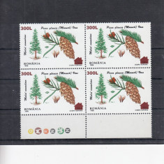 ROMANIA 2000 LP 1526 FLORA 96 SUPRATIPAR CABANA BLOC DE 4 TIMBRE MNH