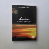 Liebling: monografie arheologica - Cristian Floca, Timisoara, 2013