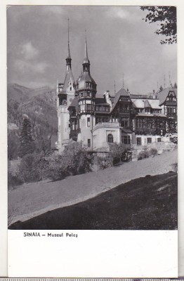 bnk cp Sinaia - Muzeul Peles - necirculata foto