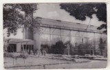 bnk cp Cluj - Gradina botanica - Sera plantelor exotice - uzata