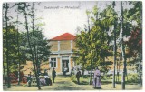 1273 - BUZIAS, Timis, Park, Romania - old postcard - used - 1918