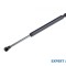Amortizor hayon Volkswagen Touareg (2002-2010)[7LA,7L6,7L7] #1