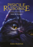 Pisicile Razboinice - Vol 7 - Miez de noapte