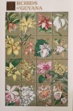BC307, Guyana 1990, bloc flori, orhidee, Nestampilat