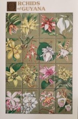 BC307, Guyana 1990, bloc flori, orhidee foto