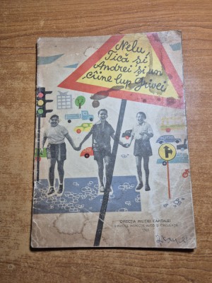 carte pentru copii - nelu,tica si andrei si un caine lup grivei - din anul 1961 foto