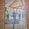 carte pentru copii - nelu,tica si andrei si un caine lup grivei - din anul 1961