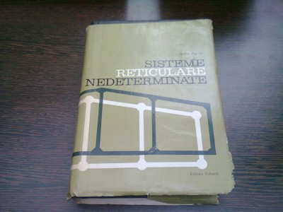 SISTEME RETICULARE NEDETERMINATE - RADU AGENT foto