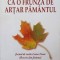 CA O FRUNZA DE ARTAR PAMANTUL-PAULA ROMANESCU-244604