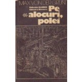 Pe alocuri, polei