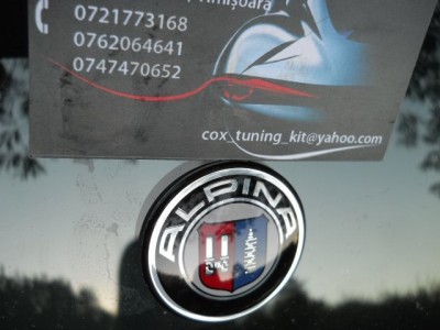 EMBLEMA VOLAN ALPINA foto