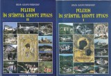 Ierod. Cleopa Paraschiv - Pelerin in Sfantul Munte Athos, 2 volume