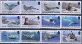 Timbre cu foci și balene din British Antarctic Territory