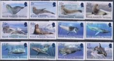 Timbre cu foci ?i balene din British Antarctic Territory foto