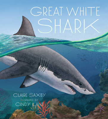 Great White Shark foto
