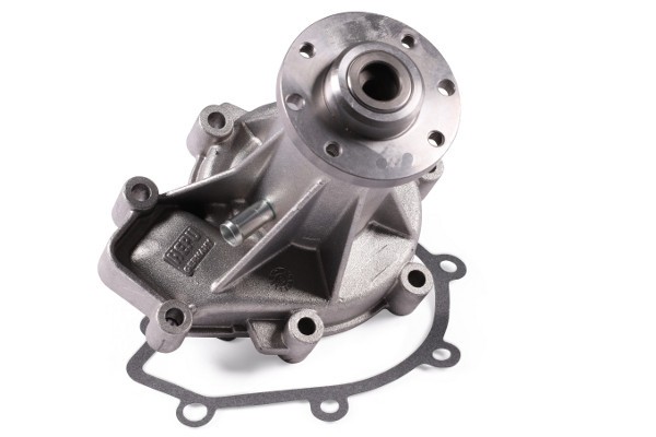 HEPU P176 Pompă de apă, răcire motor
