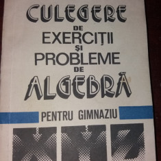 CULEGERE DE EXERCITII SI PROBLEME DE ALGEBRA PENTRU GIMNAZIU OLIVOTTO